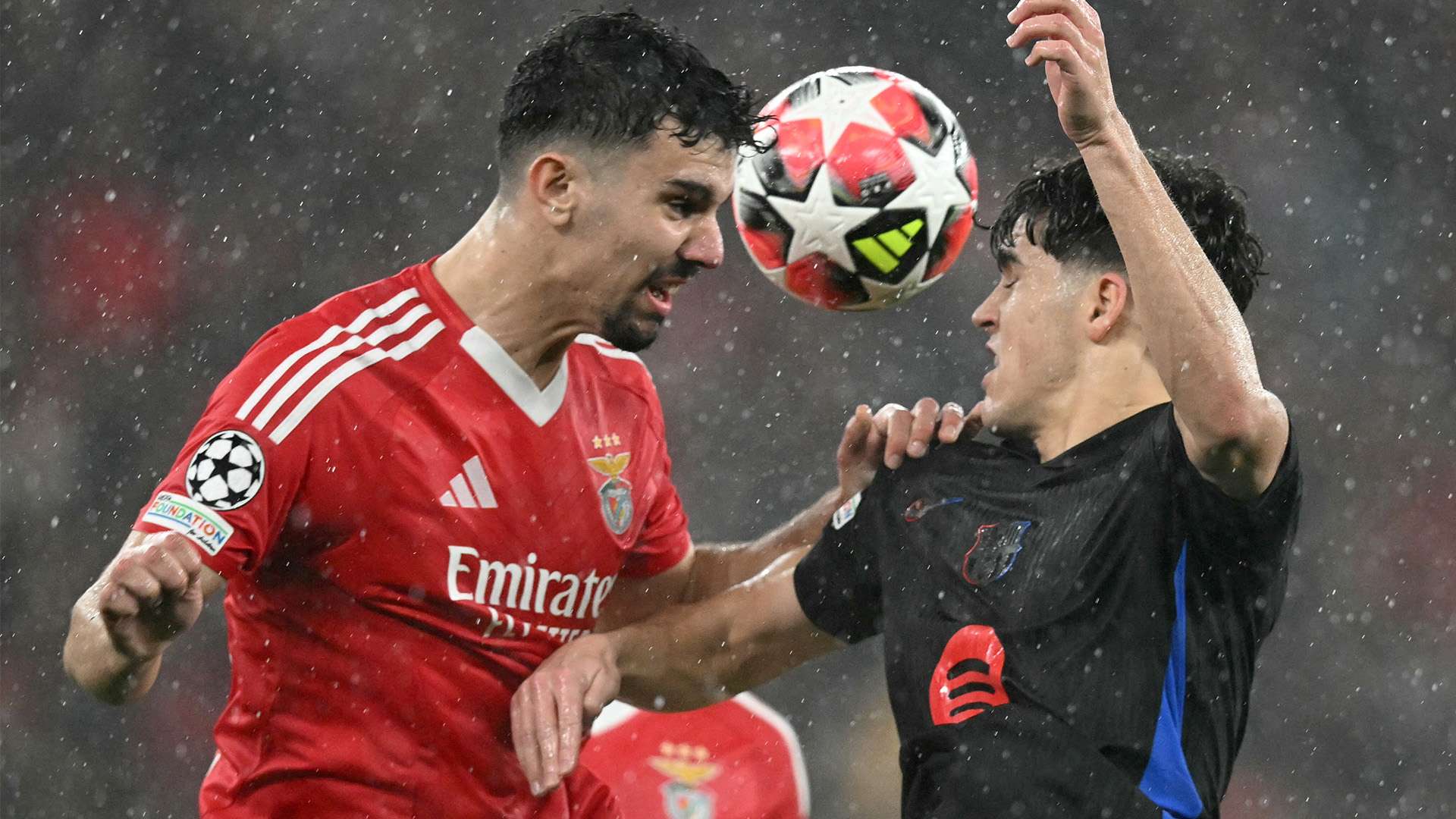 他在寒冷条 他在寒冷条